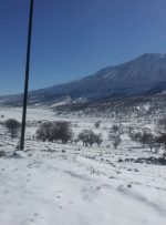 شرایط سخت زندگی اهالی روستای دلی مهتاب شهرستان کهگیلویه/اینجا شوقی برای زندگی نیست