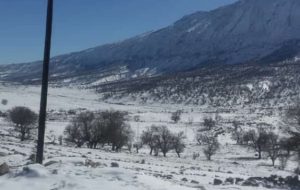 شرایط سخت زندگی اهالی روستای دلی مهتاب شهرستان کهگیلویه/اینجا شوقی برای زندگی نیست