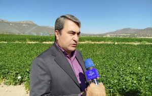 برنامه ریزی برای گسترش مبارزه بیولوژیک به ۱۳ هزار هکتار از باغات و مزارع استان کهگیلویه و بویراحمد/کاهش ۷۰ درصدی سمپاشی شیمیایی با استفاده از زنبور براکون