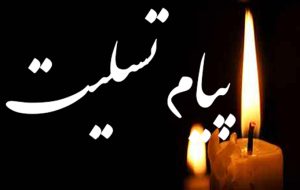 پیام تسلیت مدیرمسئول رسانه خبری بام‌جنوب در سوگ درگذشت پدر ارجمند رحمن مؤمن، مدیر روابط‌عمومی شرکت پتروبسپاران مارون