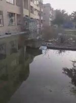 پس‌زدگی مکرر فاضلاب در شهرک شهید صباغان بندر امام خمینی؛ مشکل ۱۵ ساله ساکنان همچنان پابرجاست